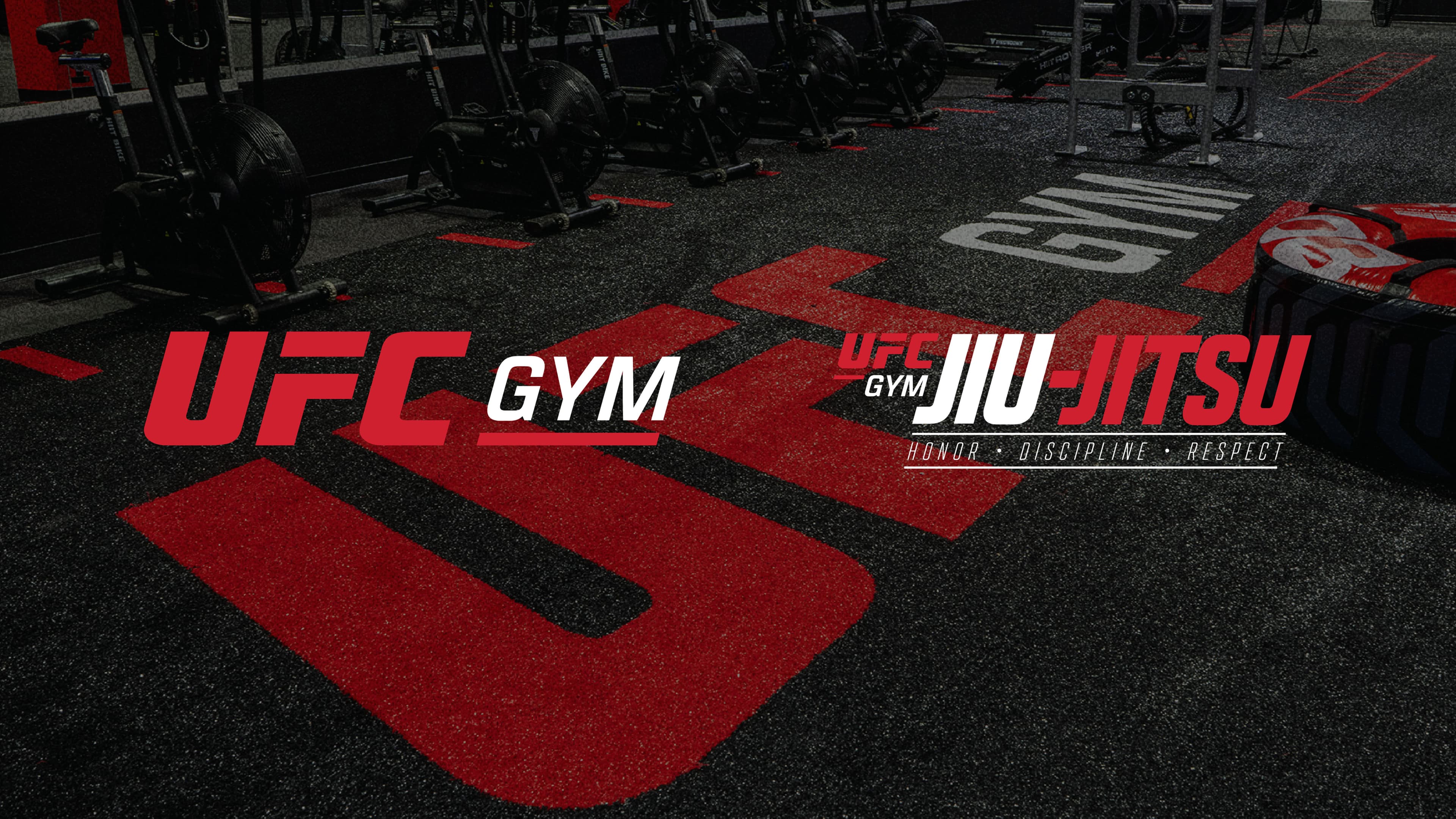 UFC GYM — Brand Marketing Direction