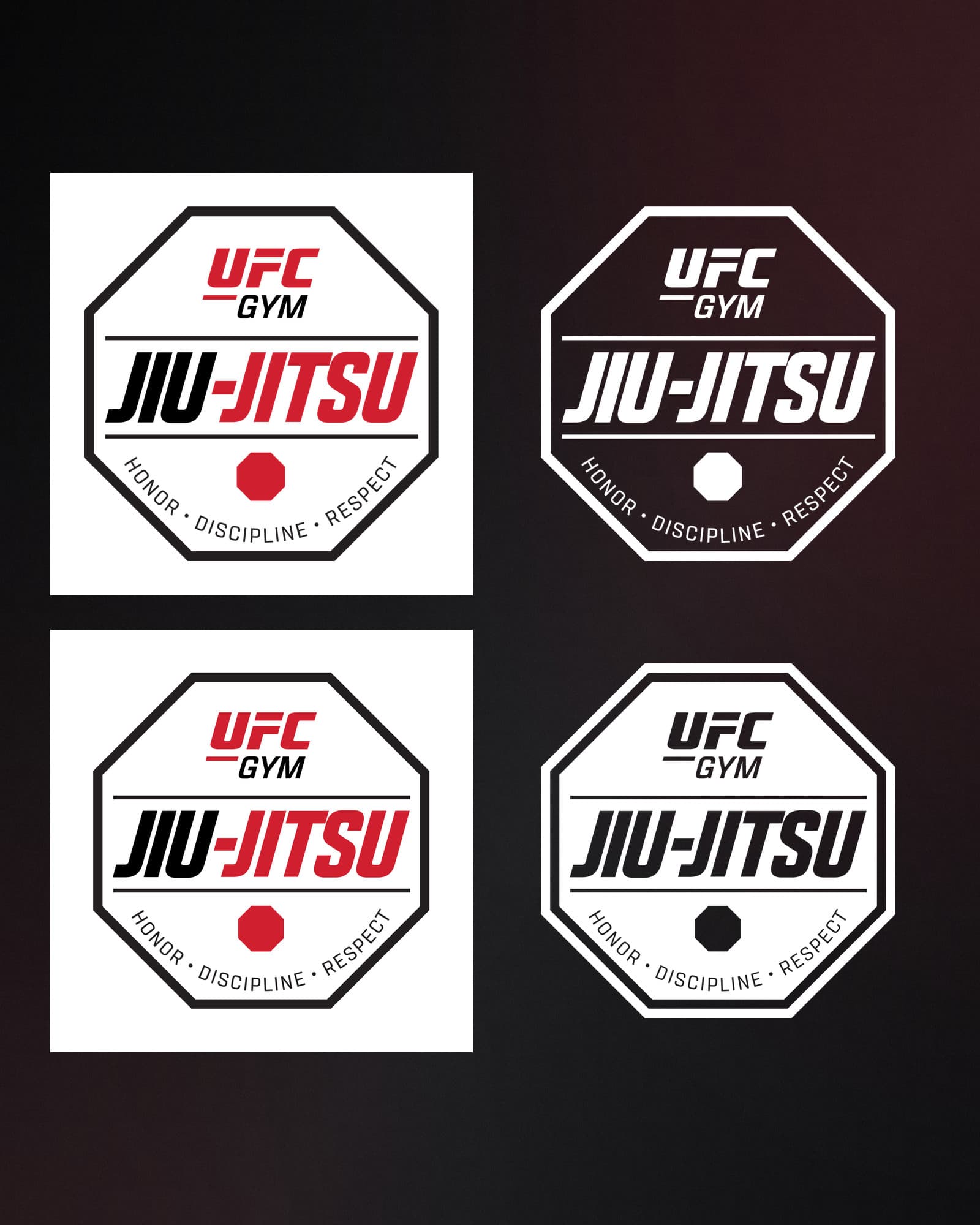 UFC GYM Jiu-Jitsu — Program Identity
